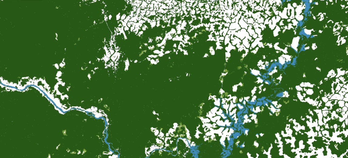 Image shows a satellite image of deforestation in Cameroon in green, white and blue