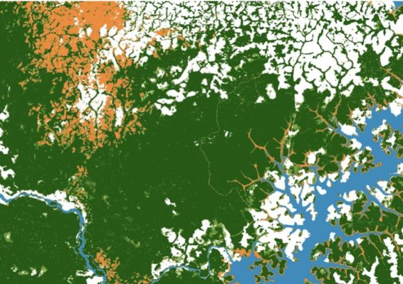 Satellite image of forest