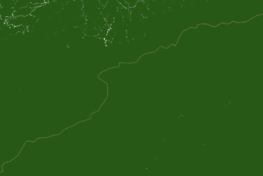 Satellite image of forest