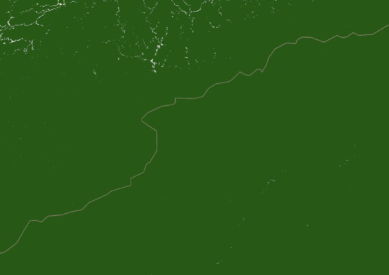 Satellite image of forest