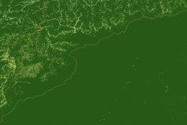 Satellite image of forest