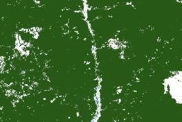 Satellite image of forest