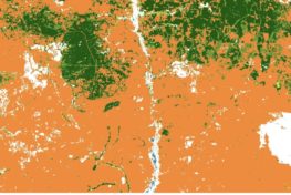 Satellite image of forest