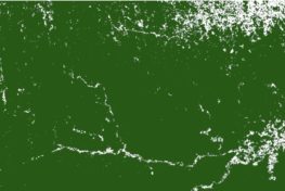 Satellite image of forest