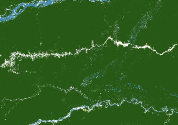 Satellite image of forest