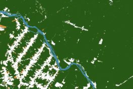 Satellite image of forest