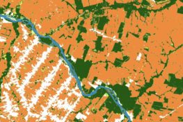 Satellite image of forest