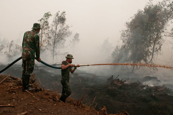 An image of army officers in camouflage uniforms spraying water in smoke covered peatland areas