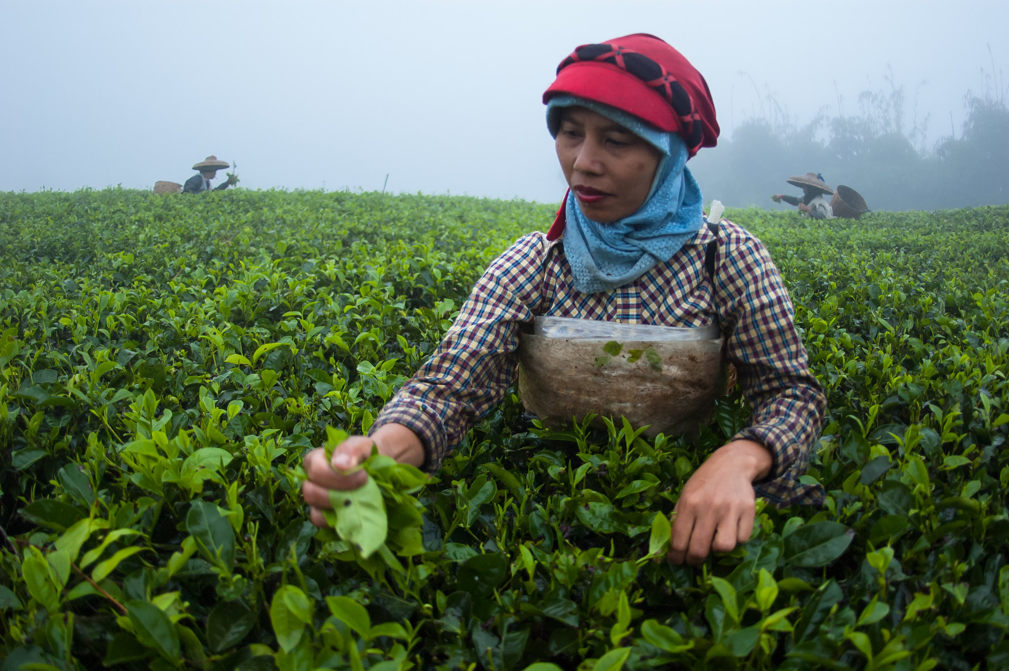 Menata Pendanaan Iklim untuk Memberikan Manfaat bagi Perempuan dan Mengurangi Kemiskinan