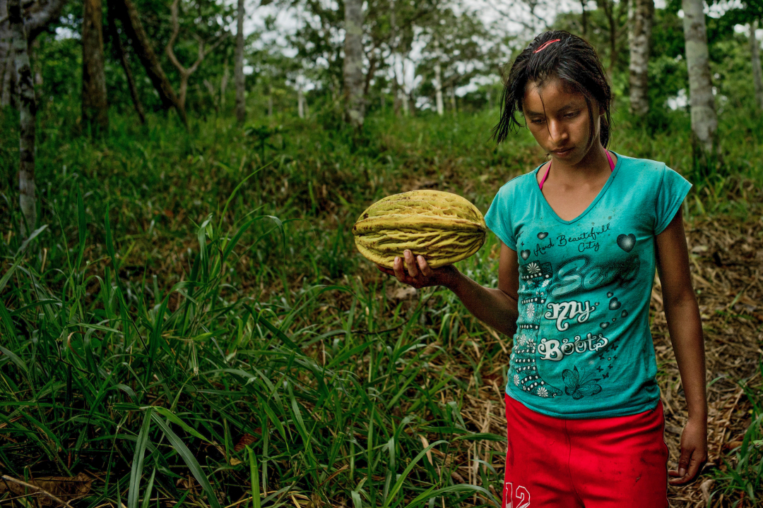 ¿Van los fondos para integrar la conservación y el desarrollo a donde más se necesitan?