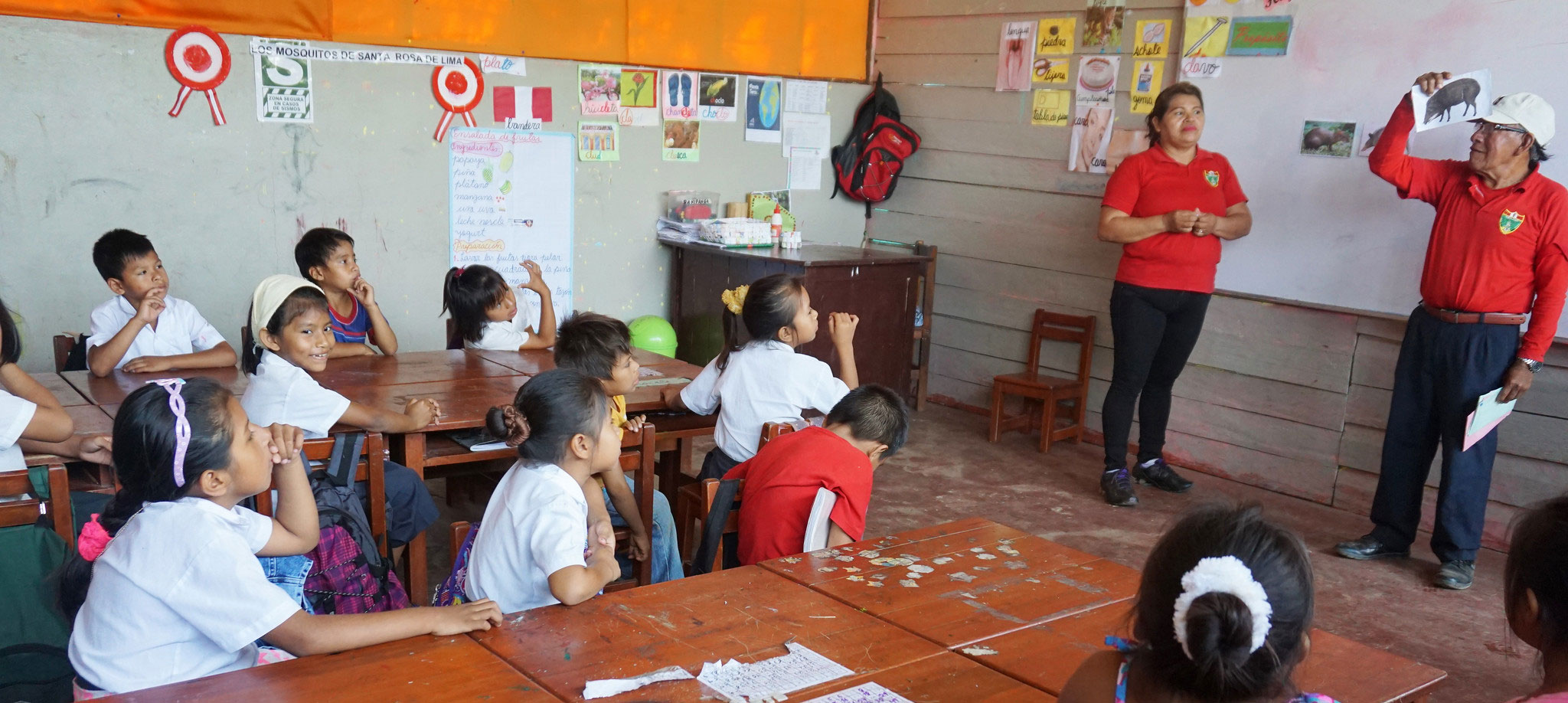 The impact of multi-stakeholder co-management initiatives in the Peruvian Amazon