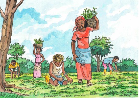 Drawing of women gathering and carrying trees