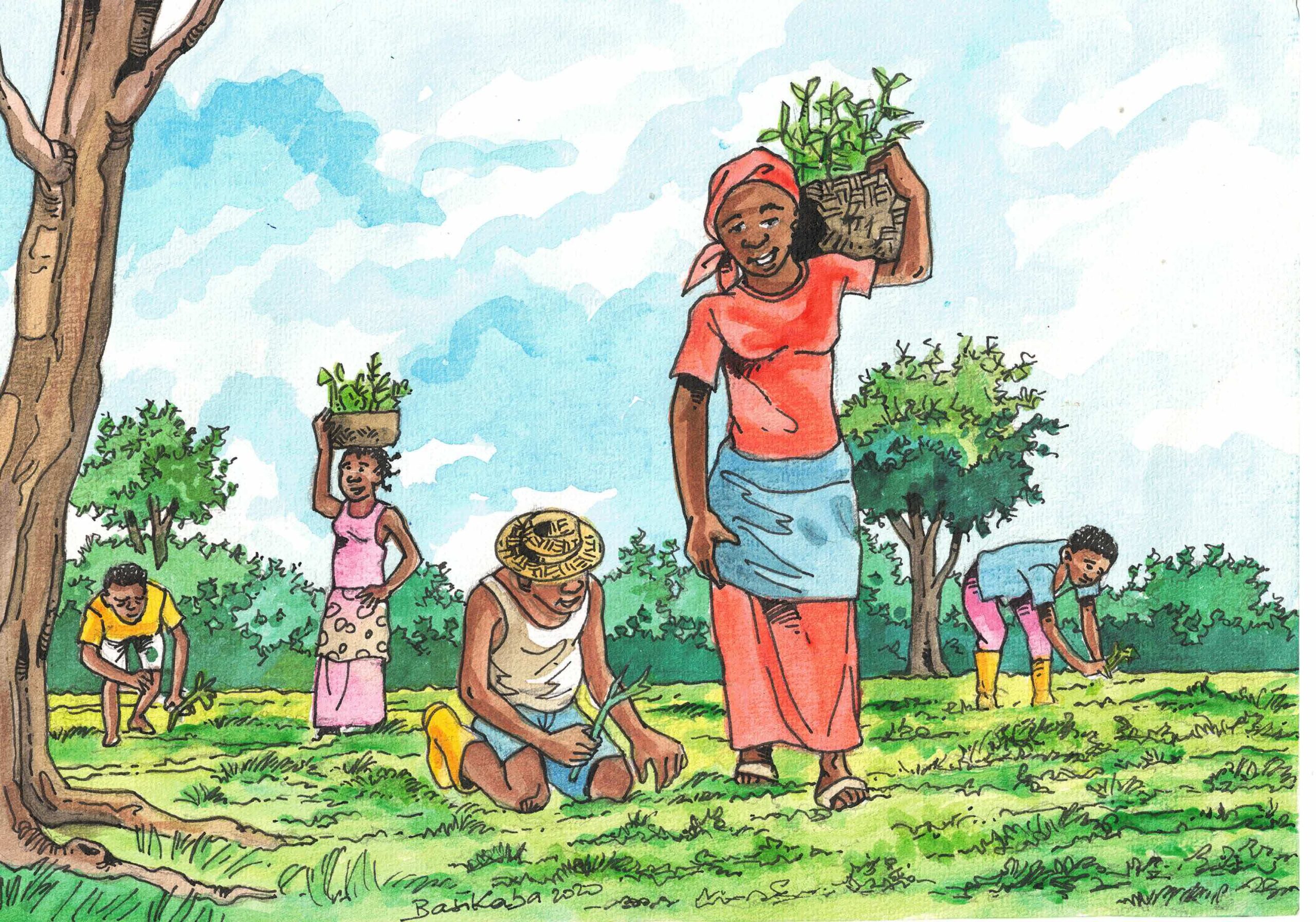 In search of a successful recipe for forest landscape restoration