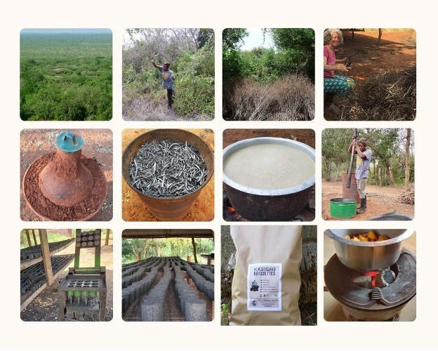 Five things to know about briquettes and sustainable bioenergy in Africa
