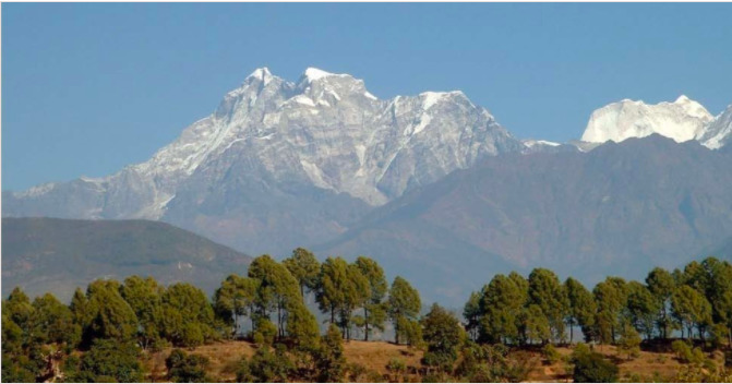 Mountains and agroforestry