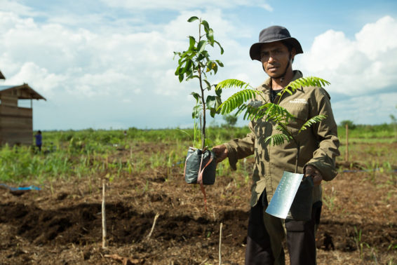 A man holds a tree and a spade