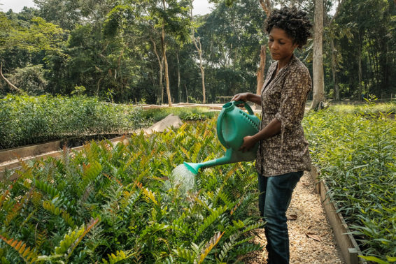 A woman waters using a watering can in a plant nursery