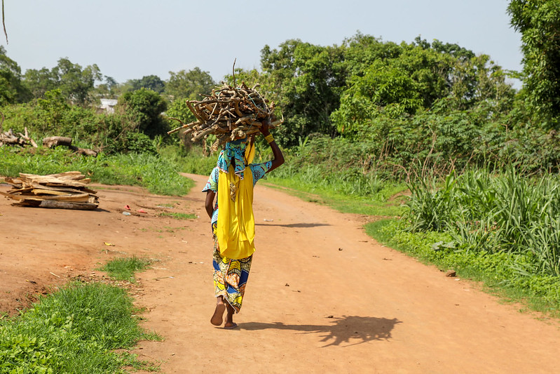 A woman walking along a dirt road with wood on her head