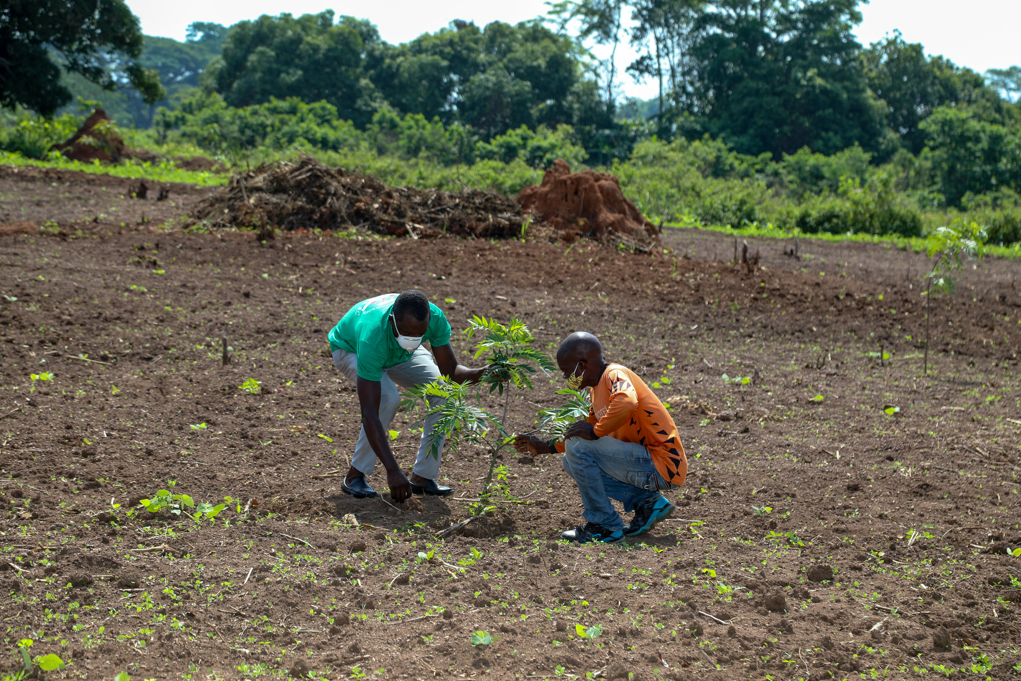 El enorme desafío –y oportunidad– de restaurar nuestra Tierra empieza hoy