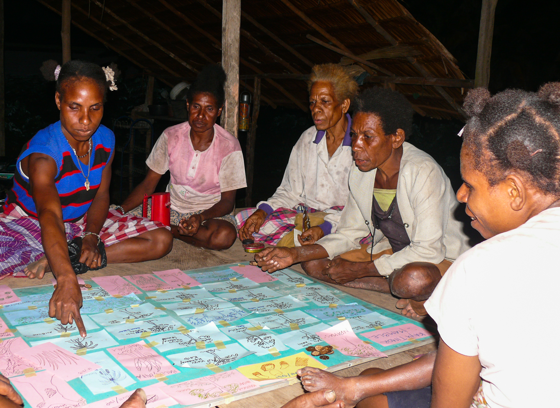 Transformasi Papua dan Papua Barat menuju Pembangunan Rendah Karbon