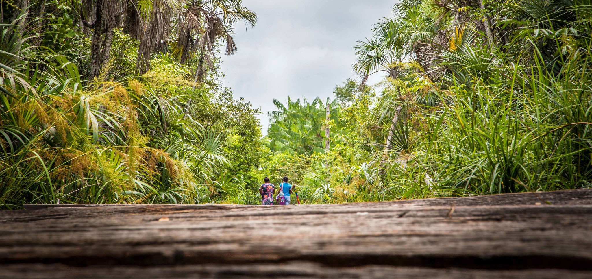 Why multi-stakeholder forums need fair participation from all sectors