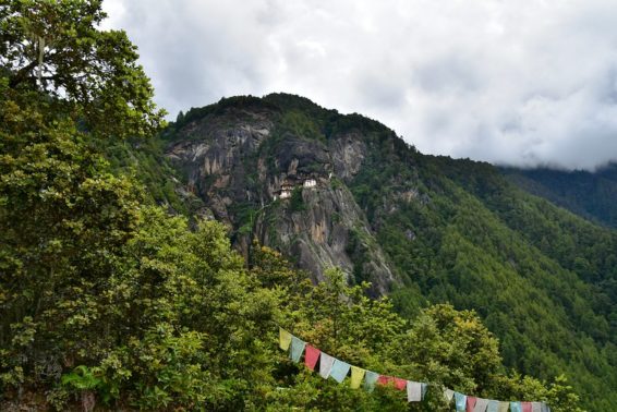 View of a monastery on a forested hillside