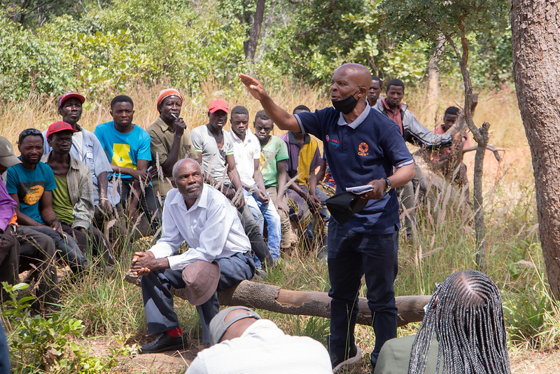 Engaging Zambian charcoal producers in sustainability efforts