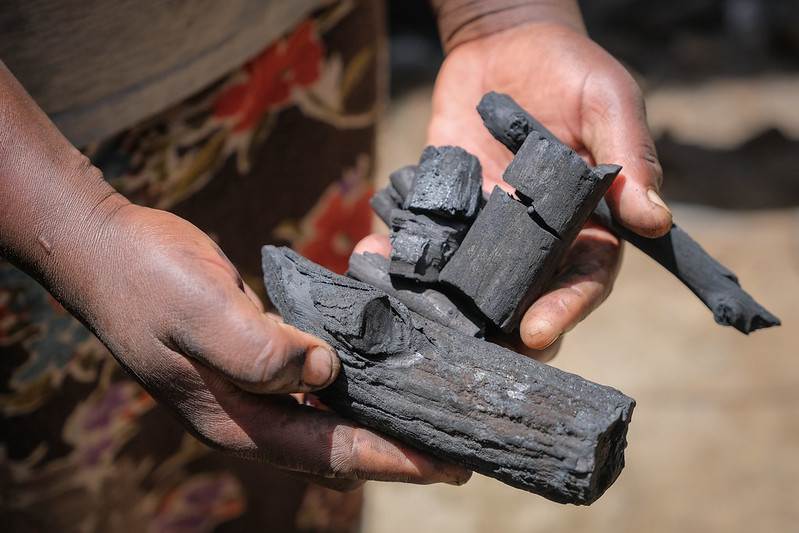 Poor charcoal production techniques fuel tree cutting in Kenya