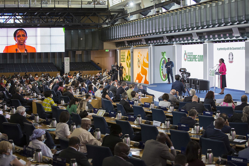 Food Systems Summit reveals challenges of transforming global food production