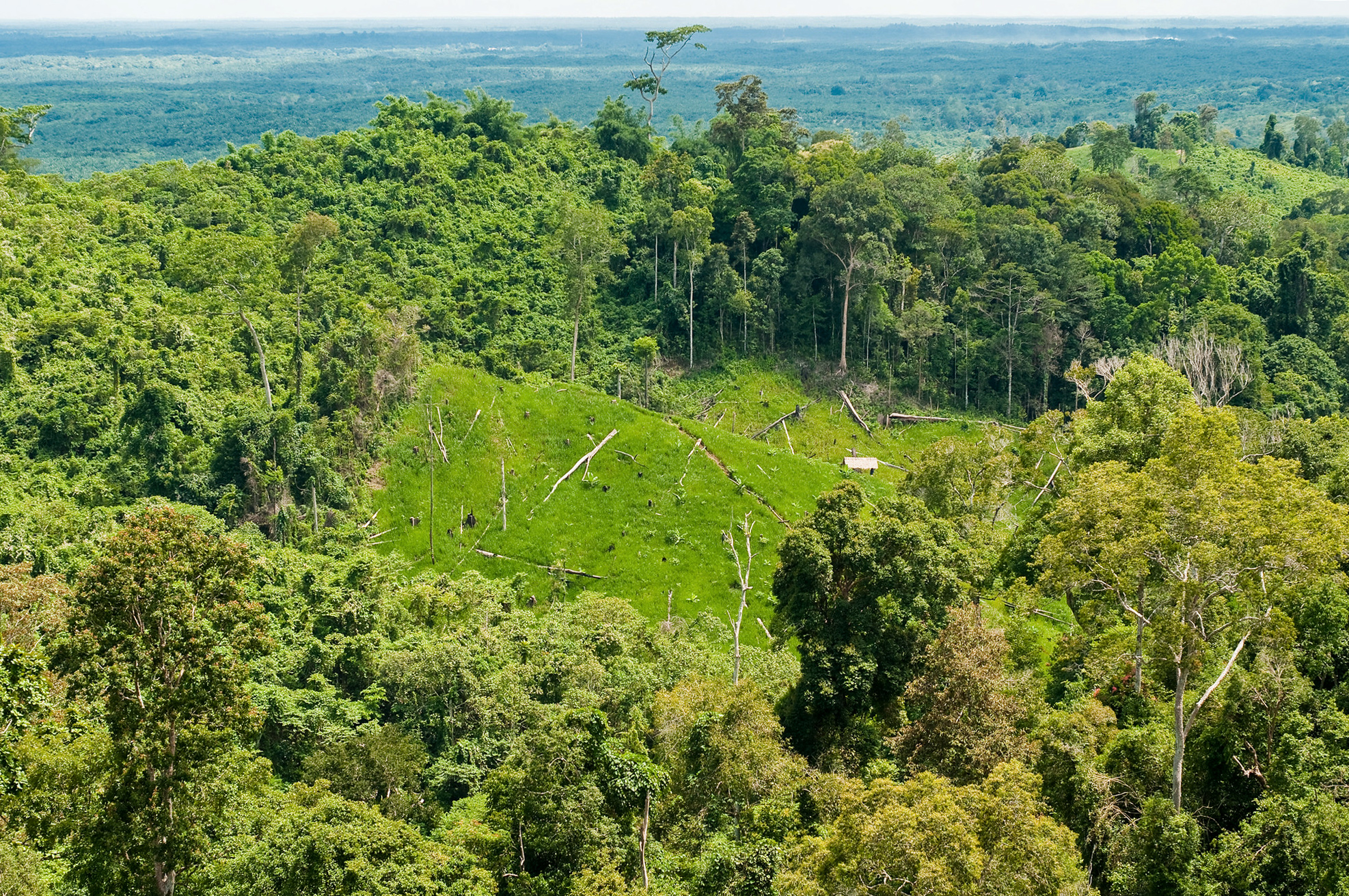 Un análisis actual de los pagos por resultados REDD+ del Fondo Verde para el Clima