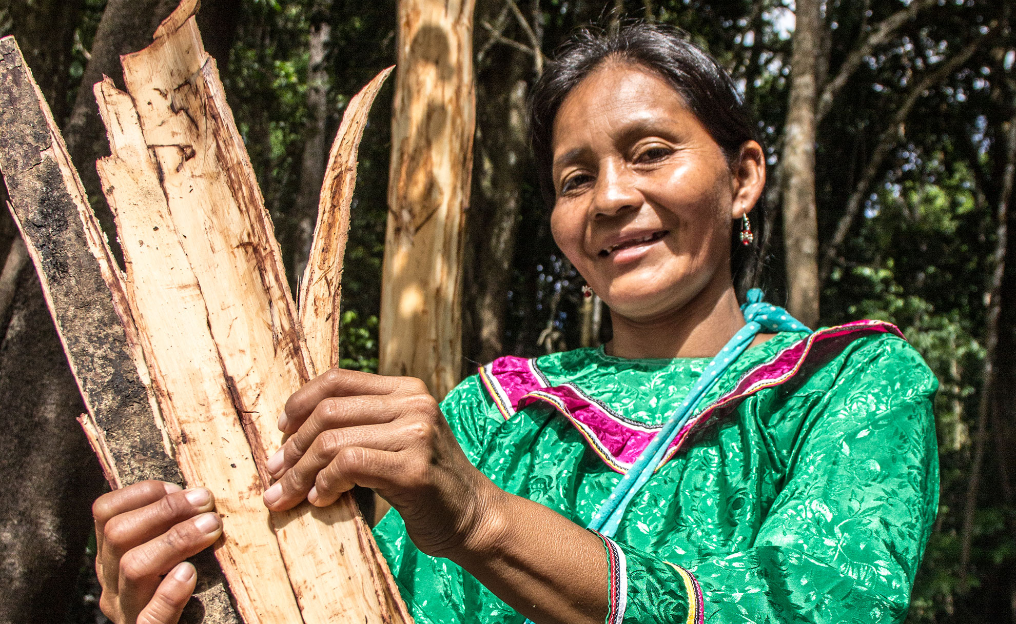 Creating a new relationship with nature through a ‘stewardship economy’