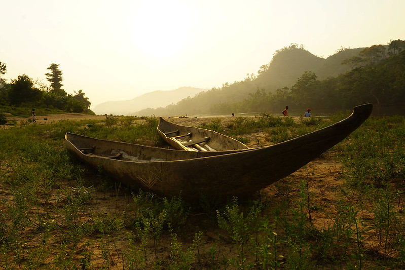 Legal hubs help identify gaps to support sustainable wildlife management