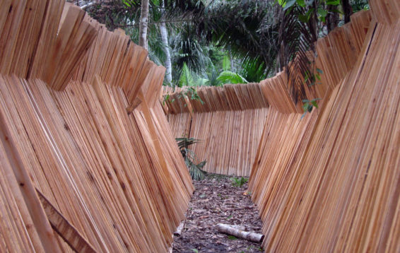 Wood leans upright