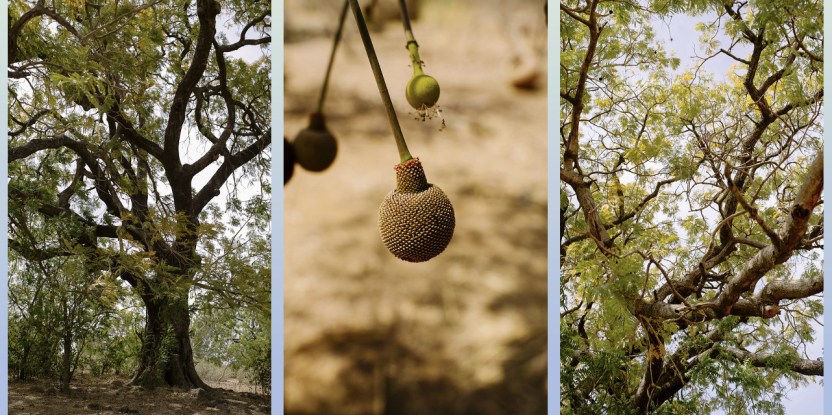 Para Delegasi COP26 Perlu Membahas Kesenjangan Gender dalam Ketimpangan Kebijakan Lahan