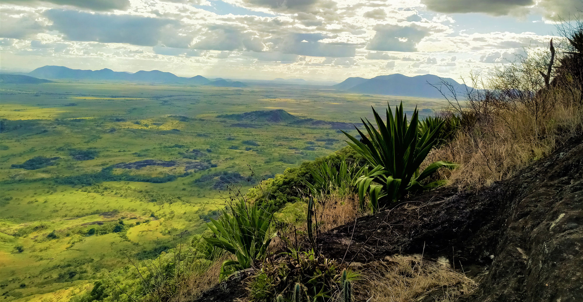 Amerindian culture and land rights shape conservation in Guyana’s Rupununi region