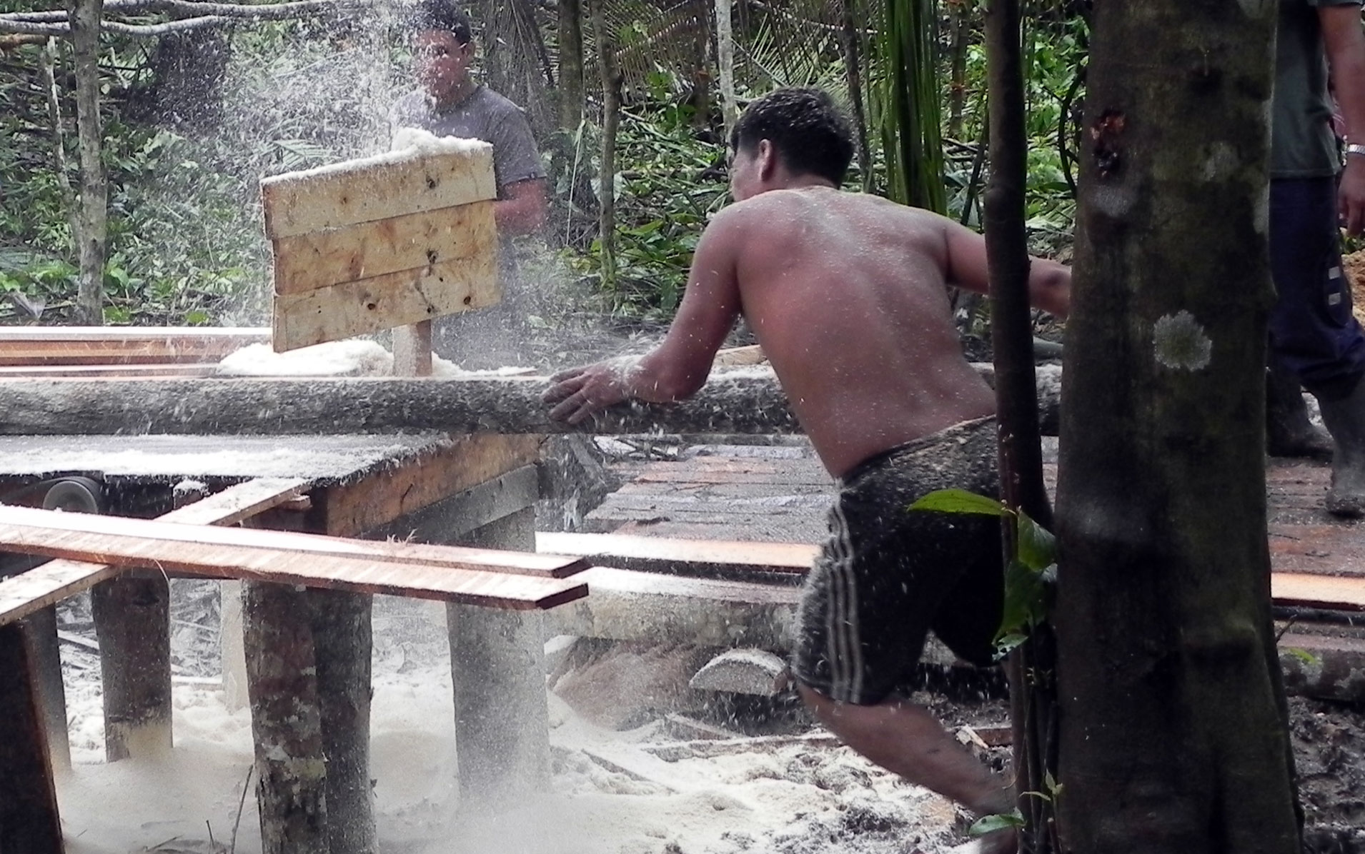 Men cut timber into boards