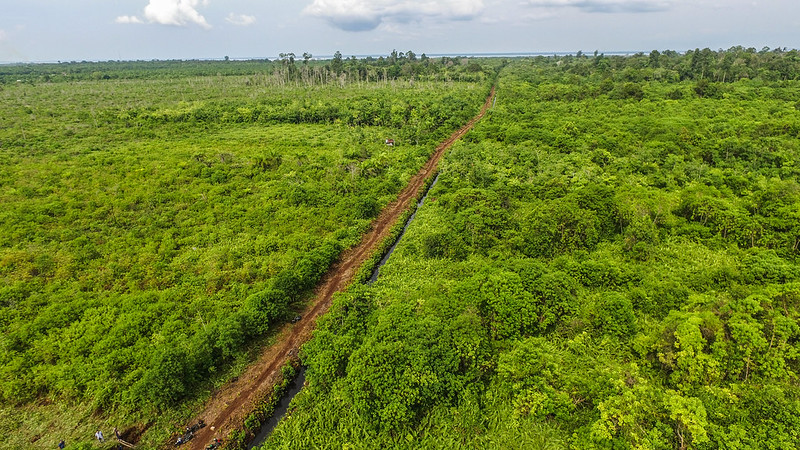 Sustainable trade and peatland management for emissions reduction and community livelihoods