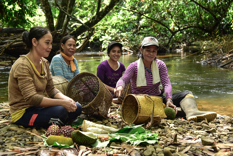 New book details best approaches to Adaptive Collaborative Management in forests