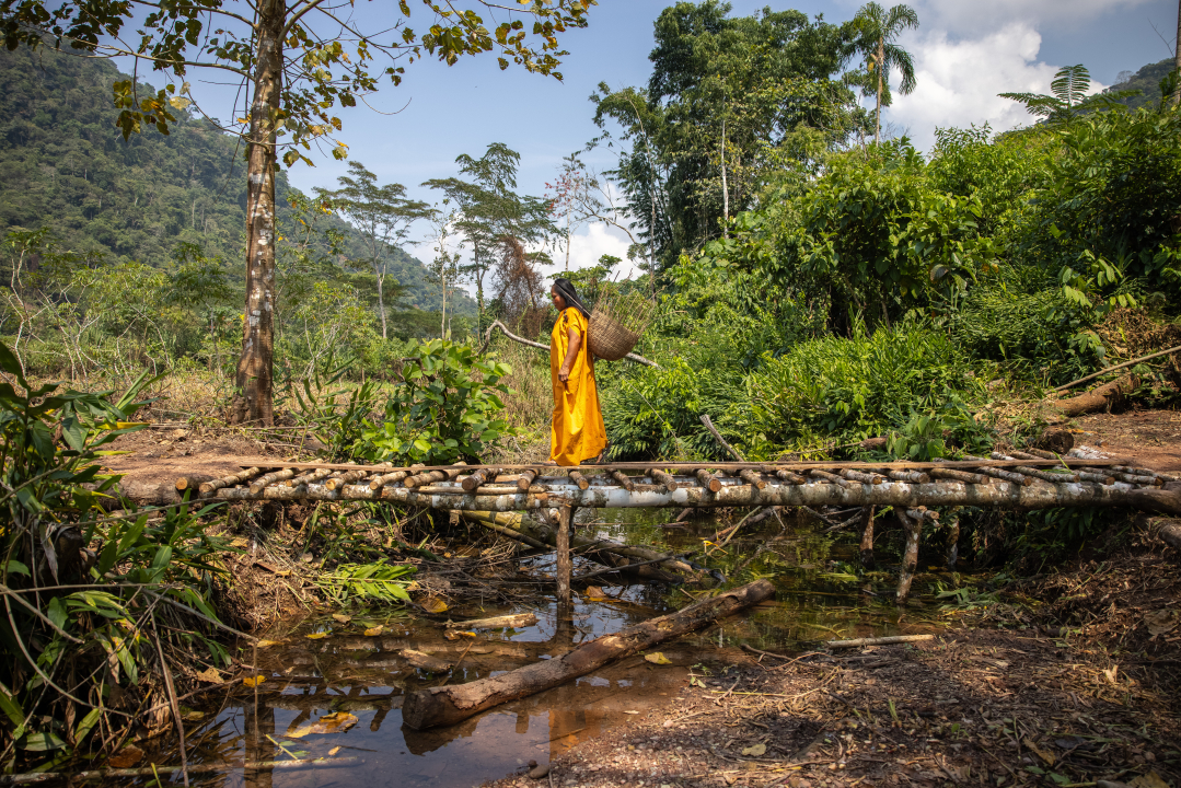 Perú: Una plataforma científico-política para un REDD+ eficaz, eficiente y equitativo