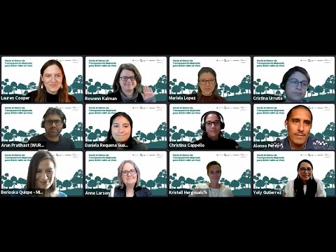 Hacia el Marco de Transparencia Mejorado para REDD+ MRV en Perú
