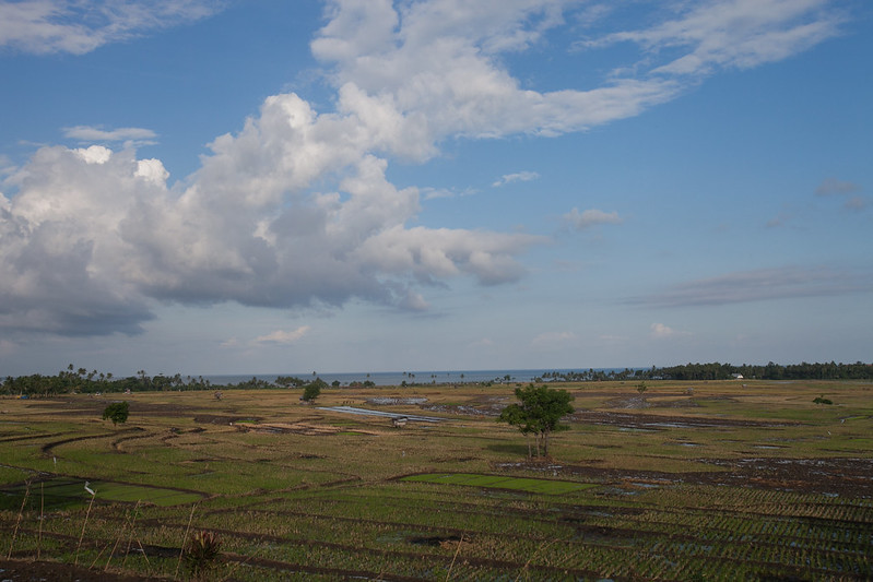 Meningkatkan Kapasitas Kepemimpinan di Sektor Kehutanan Indonesia