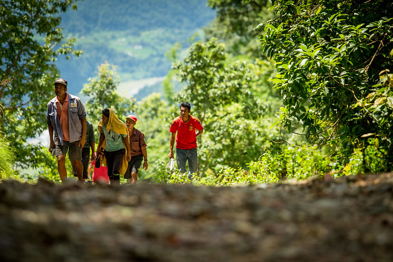 Diez vías a considerar para un futuro positivo para los bosques