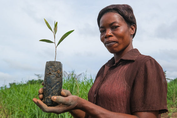 A woman holds a small tree