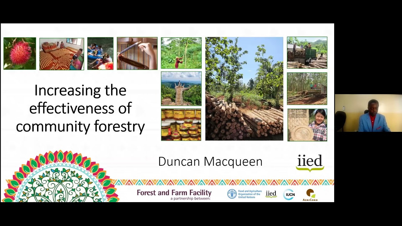 Aprender de las experiencias para aumentar la eficacia del manejo forestal comunitario
