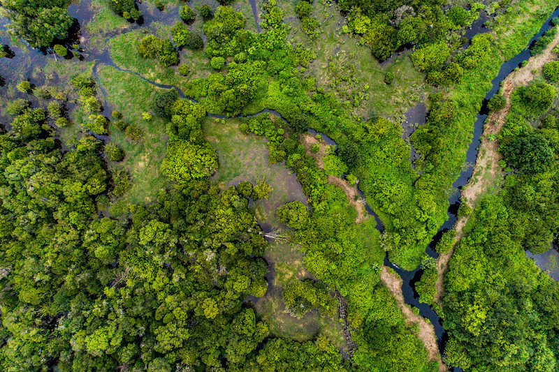 Aerial view of peatlands and water systems