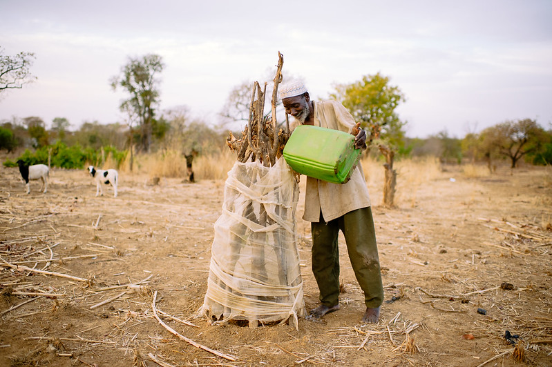 IPCC report details catastrophe for planet as threats from climate change mount