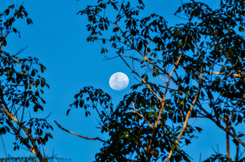 El resumen del mes: Las noticias forestales de febrero