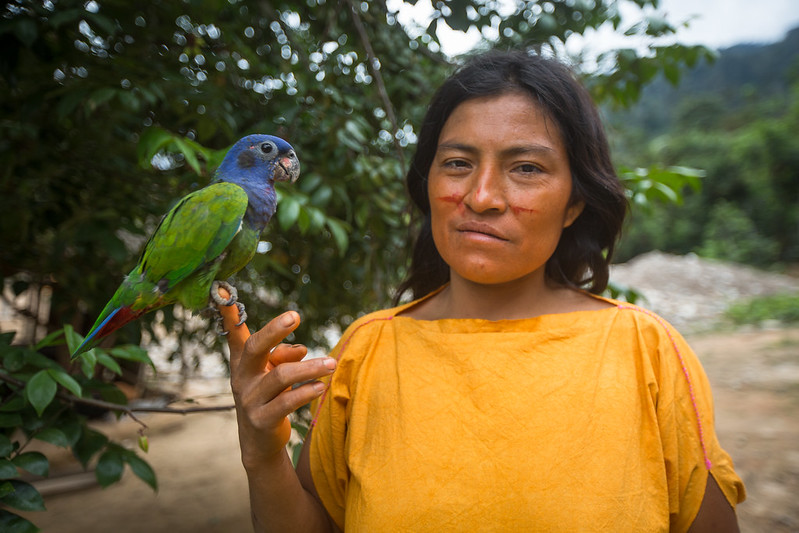 Celebrating women in environmental conservation