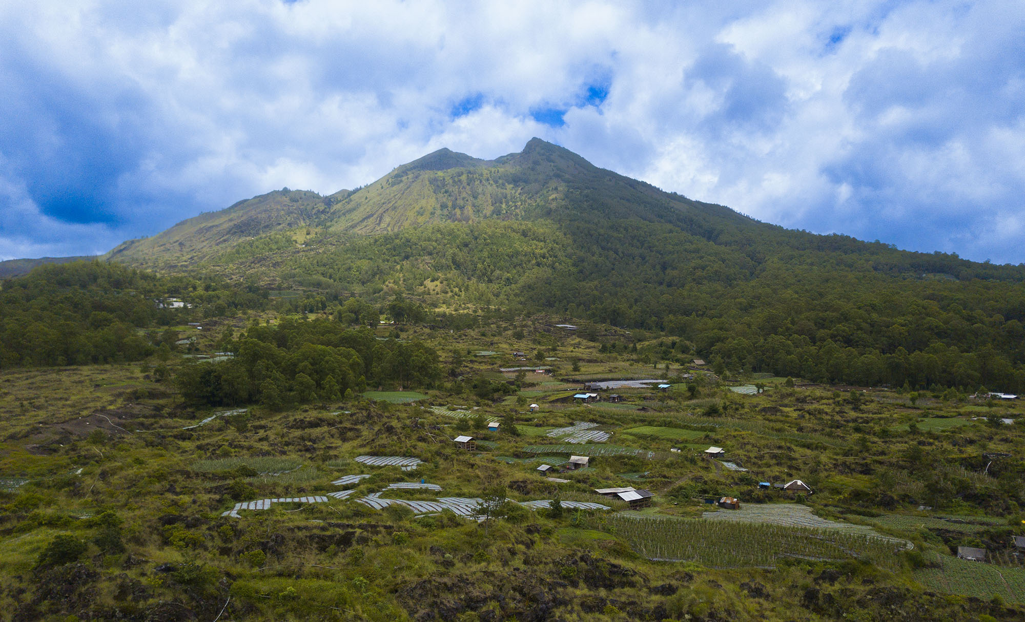 Seed orchard first step in restoring Bali’s Batur UNESCO Global Geopark