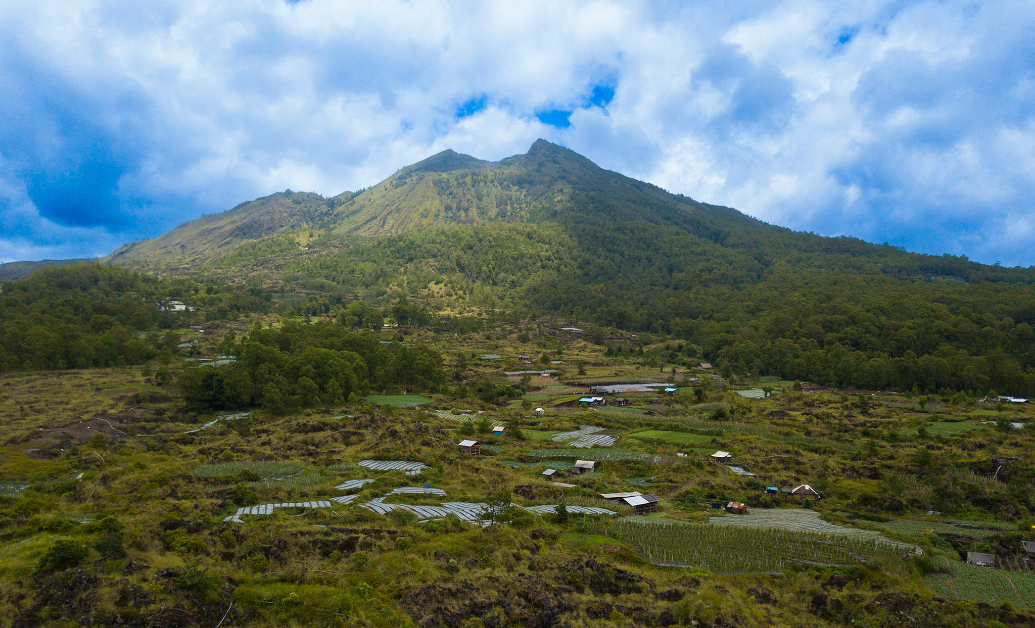 Kebun Benih, Langkah Pertama Upaya Restorasi Batur UNESCO Global Geopark Bali